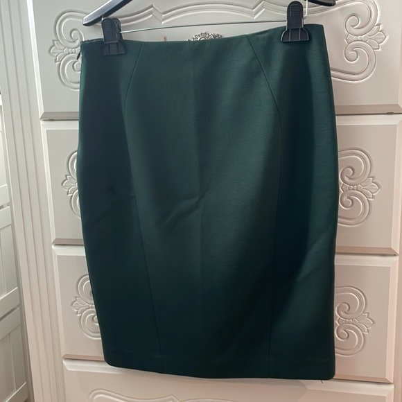 Brand new Tahari skirt size 8 with elastic in the middle - Picture 3 of 4
